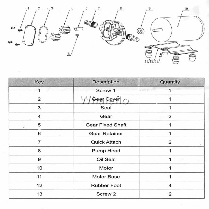 whaleflo gear oil pump