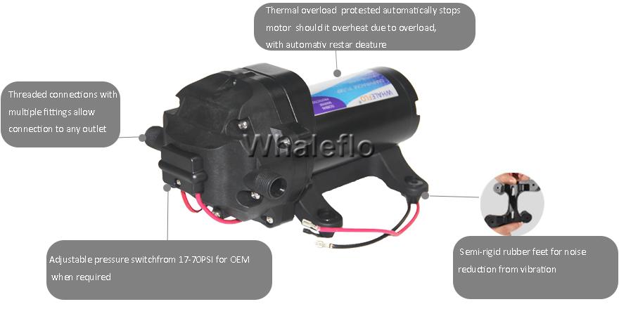 whaleflo 12v washdown pump