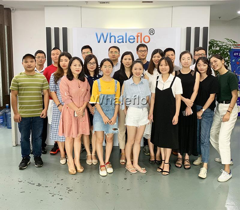 Whaleflo team