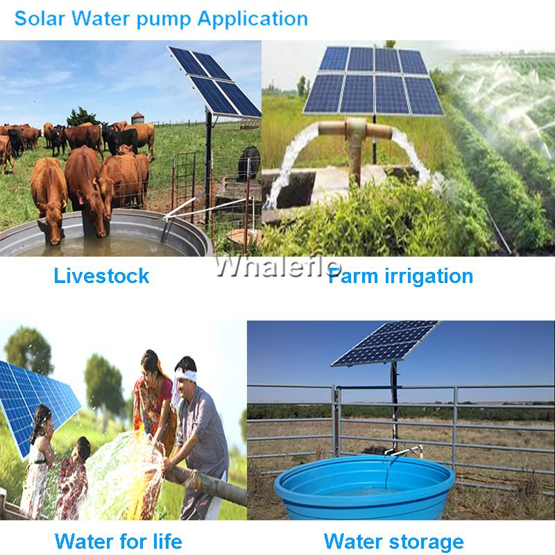 Whaleflo solar pump