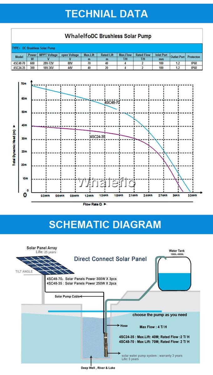 whaleflo 600W solar pump