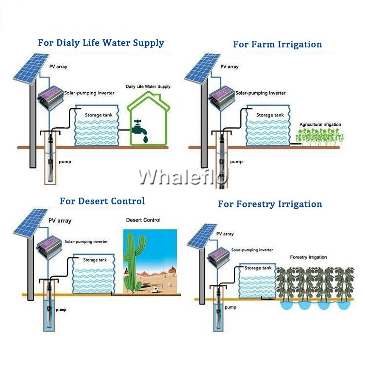 whaleflo irrigation pump application
