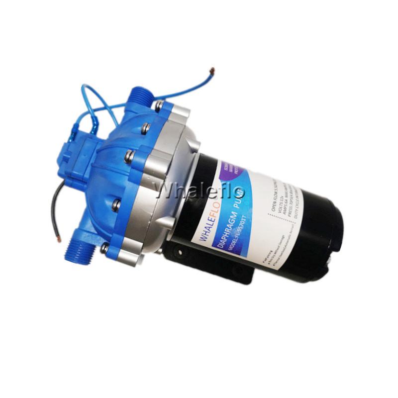 Whaleflo 20LPM water pump