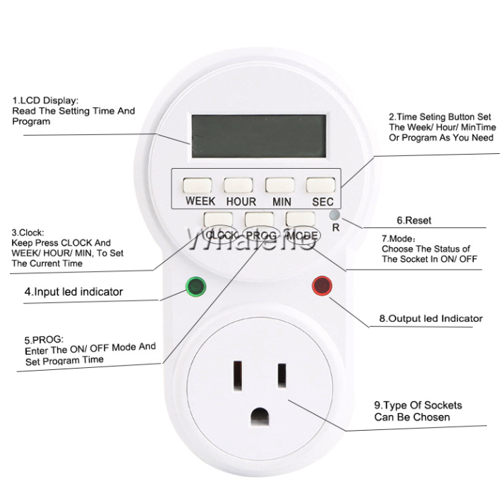 whaleflo timer