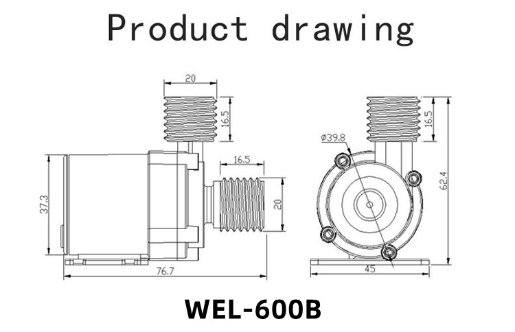 WHALEFLO