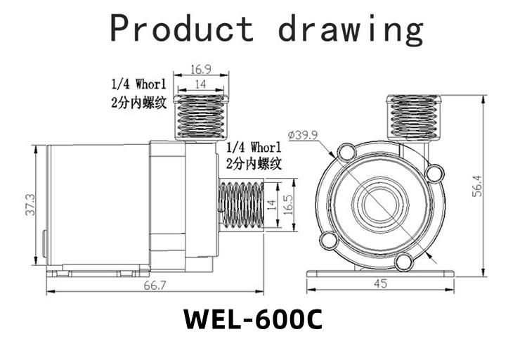 600C WHALEFLO