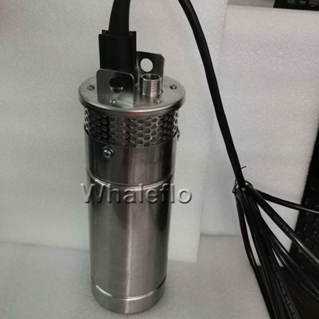 Whaleflo Proud to publish 12 liter Brushless Solar Water Pump