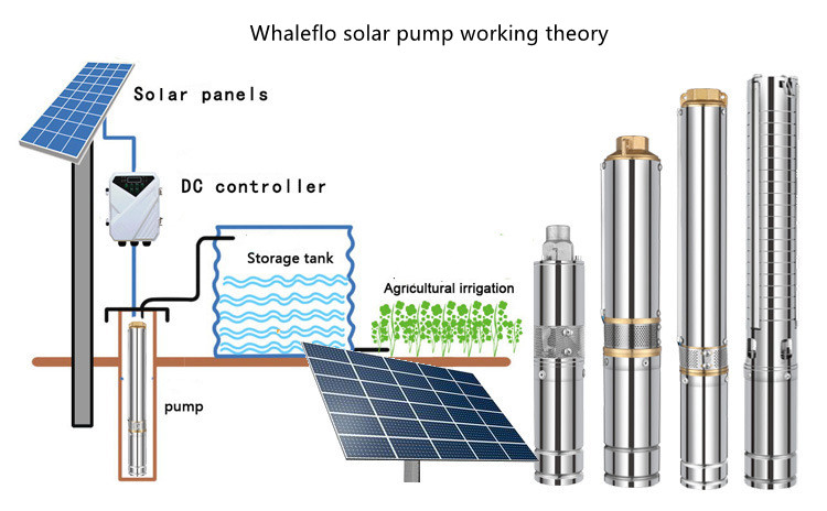 Whaleflo New Solar Pump with MPPT controller