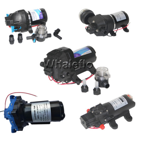 How are Whaleflo 12V RV pumps used?